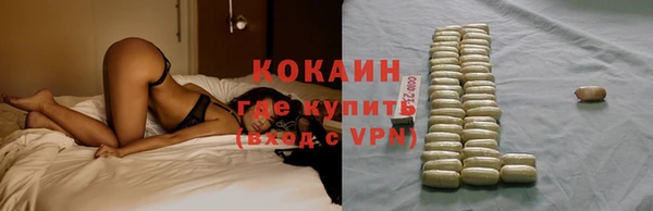 PSILOCYBIN Аркадак