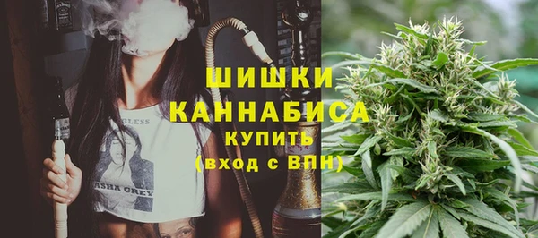 PSILOCYBIN Аркадак