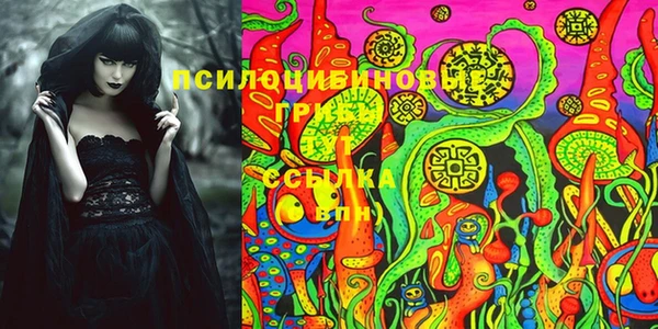 PSILOCYBIN Аркадак