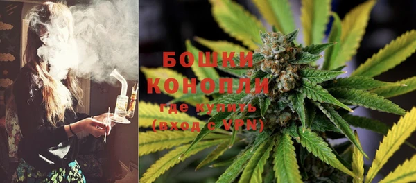 PSILOCYBIN Аркадак
