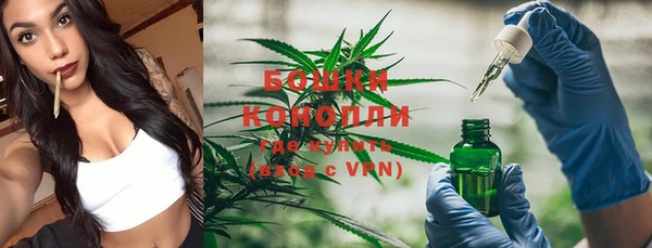 PSILOCYBIN Аркадак