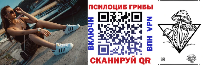 Псилоцибиновые грибы прущие грибы  наркошоп  blacksprut ТОР  Ртищево 